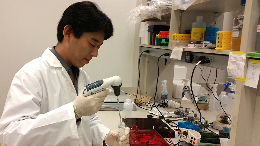 Dr. Toshifumi Yokota works in his laboratory.